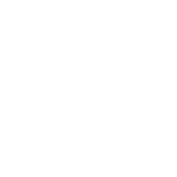 D.A.N.I.A – Herzarbeit-Mentoring – Symbol